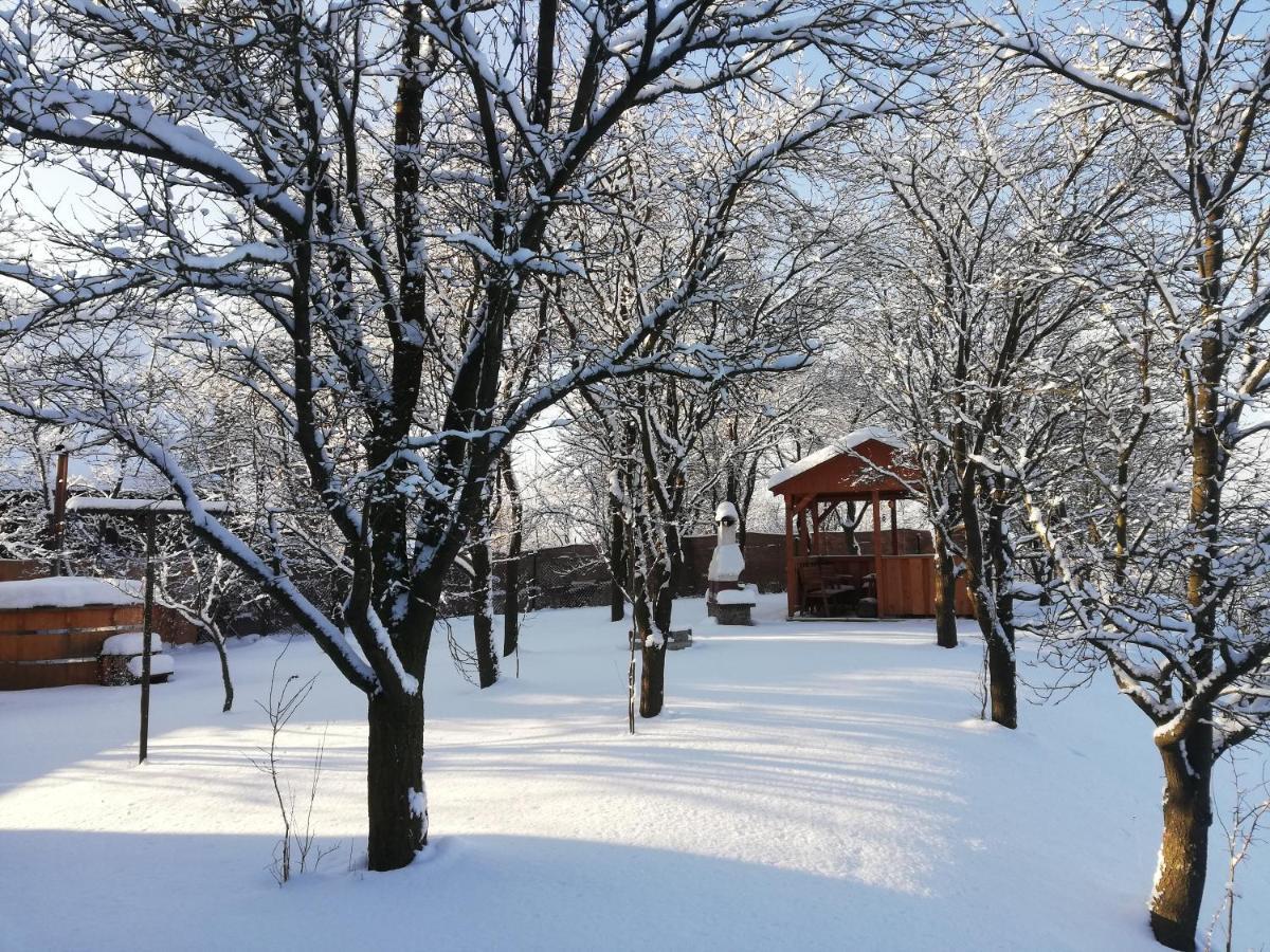 Drevenica Silvia Villa Liptovský Mikuláš Dış mekan fotoğraf